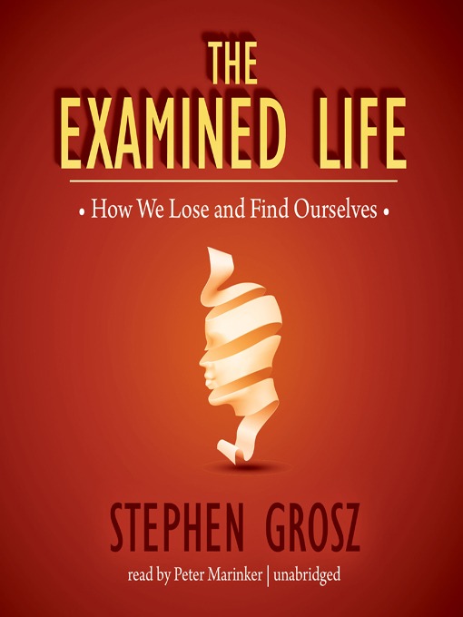 Title details for The Examined Life by Stephen Grosz - Wait list